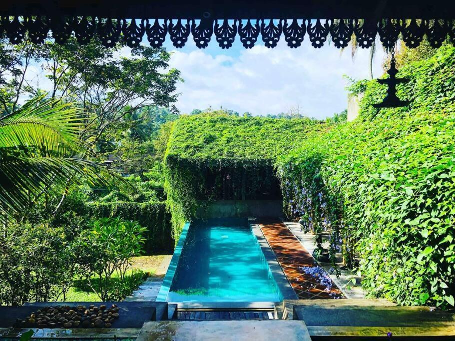 Goddess Kandy Exterior photo