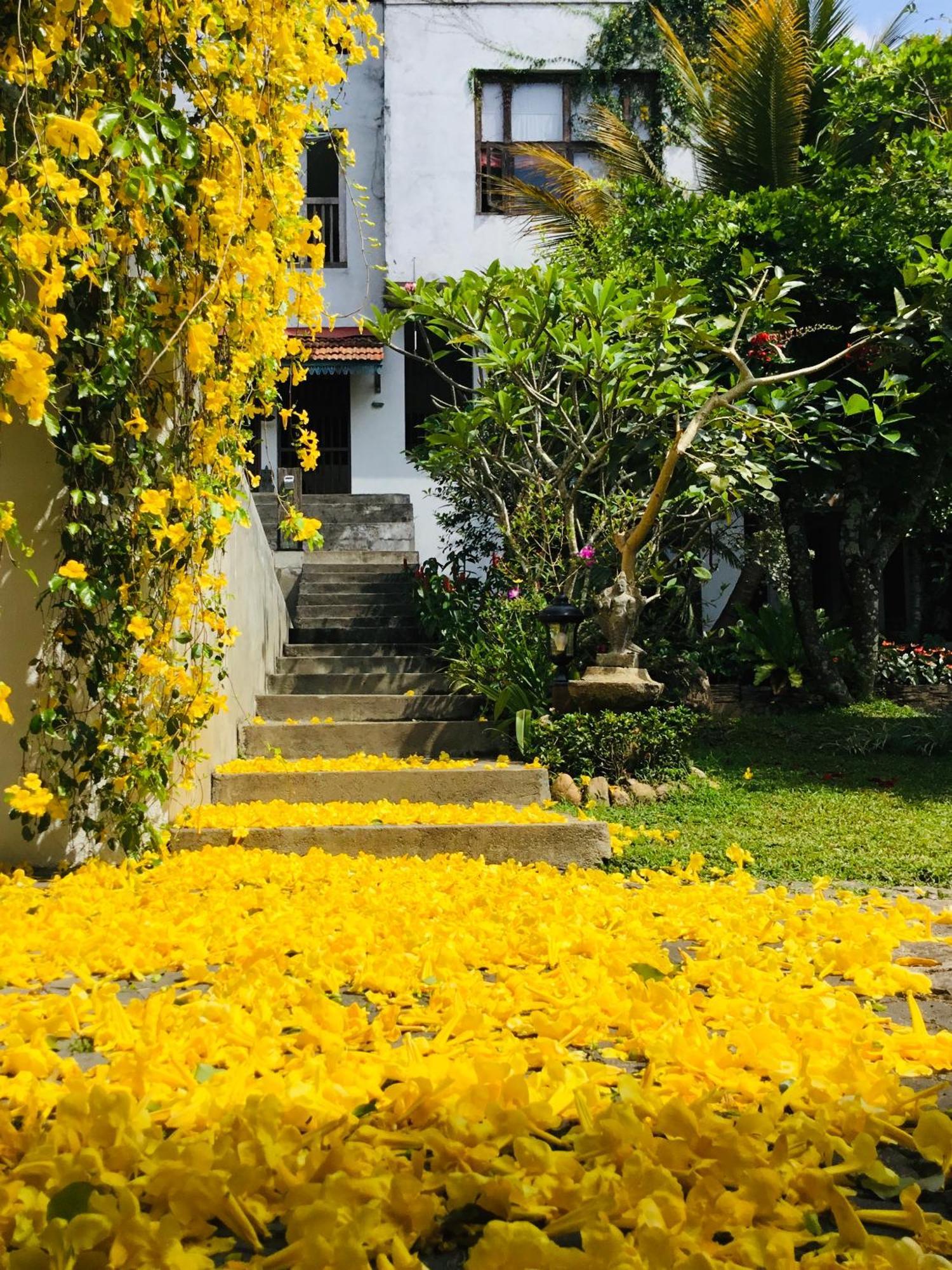 Goddess Kandy Exterior photo